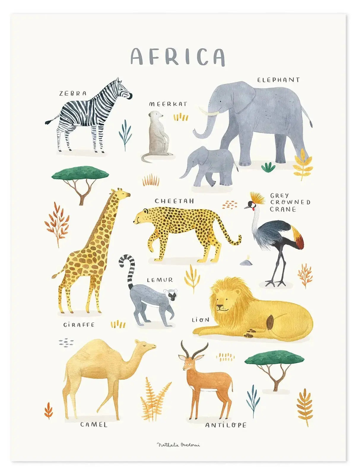 Art print (30 x 40 cm) - animals from africa