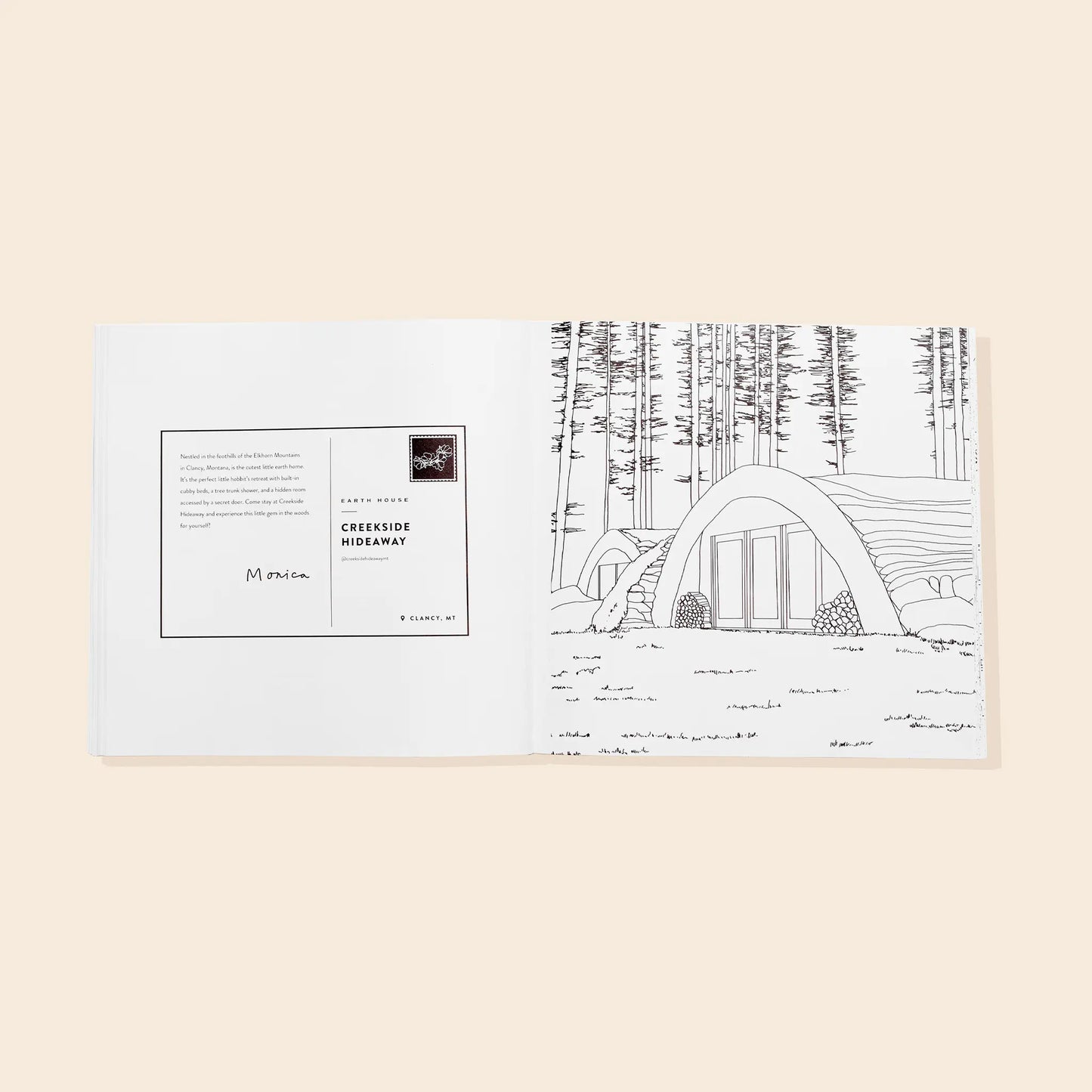 Coolest Homes Ever Paige Tate & Co.