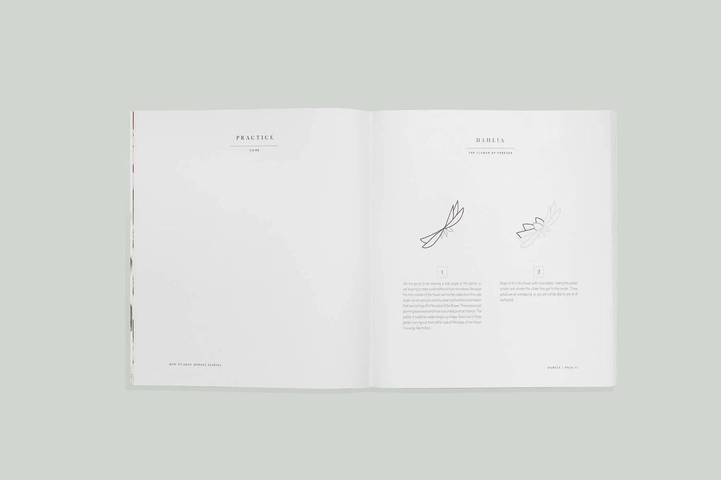 How to Draw Modern Florals (Mini) Paige Tate & Co.