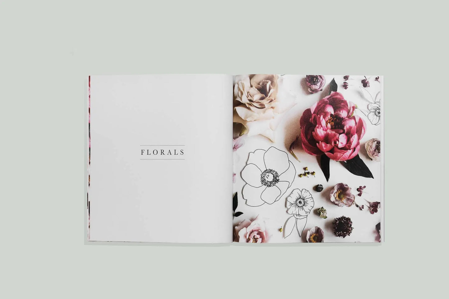 How to Draw Modern Florals (Mini) Paige Tate & Co.