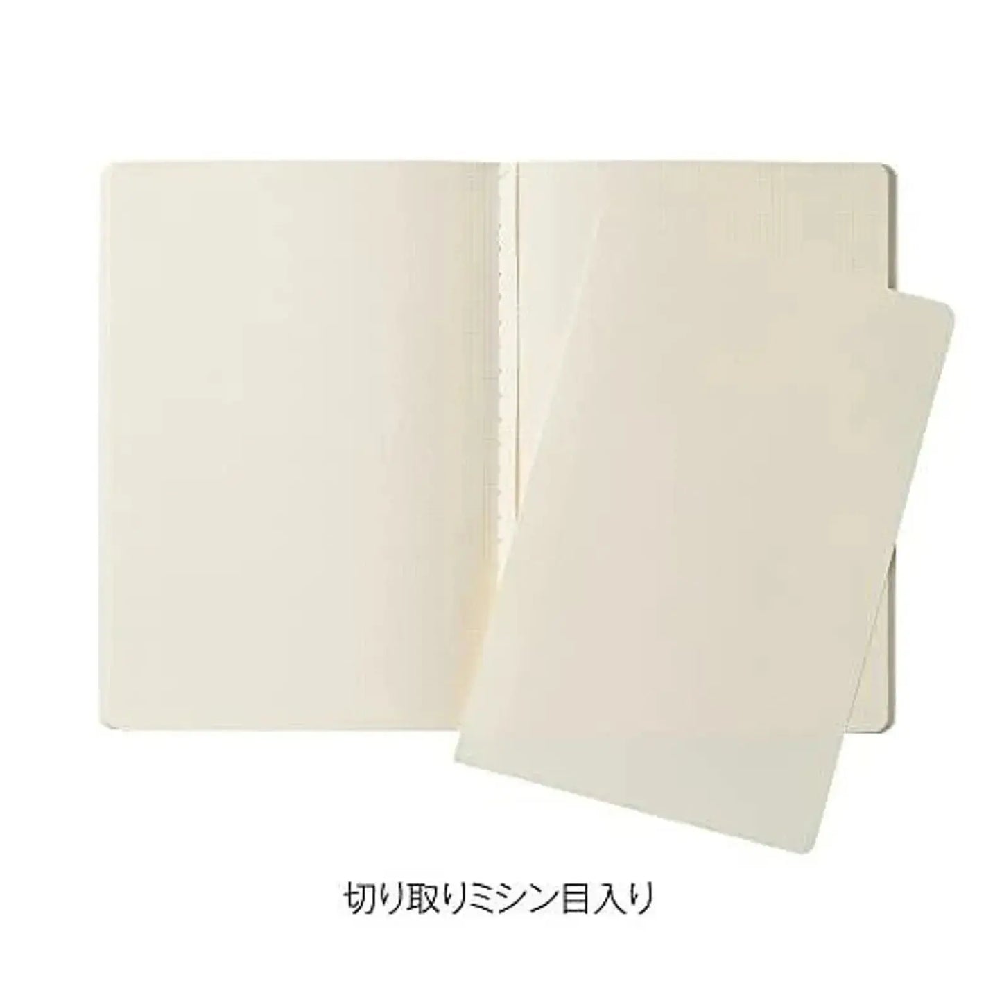 Kleid B6 TINY GRID Notes OK Fools Paper Notebook (Light Blue)