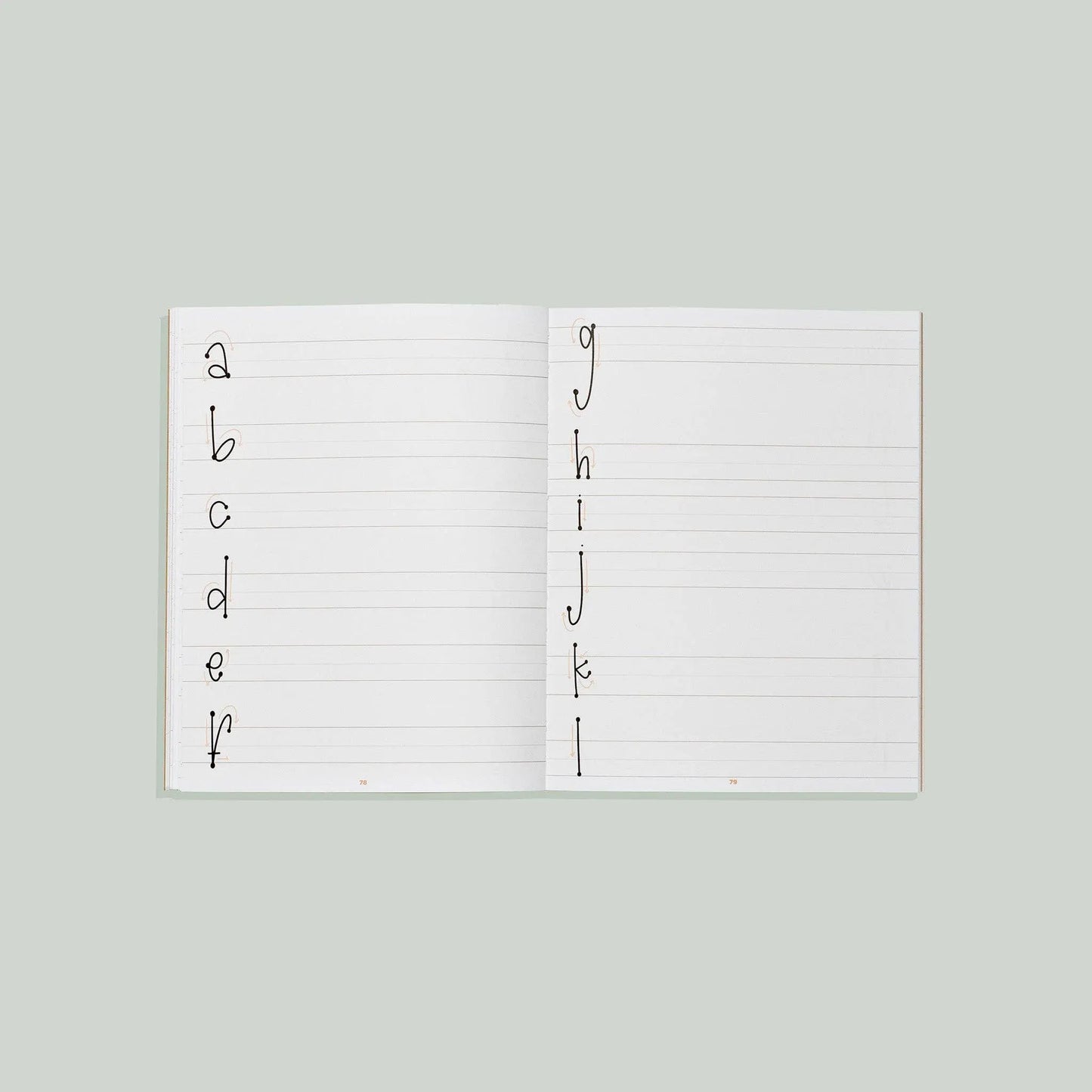 Learn to Letter with Luna the Llama Paige Tate & Co.