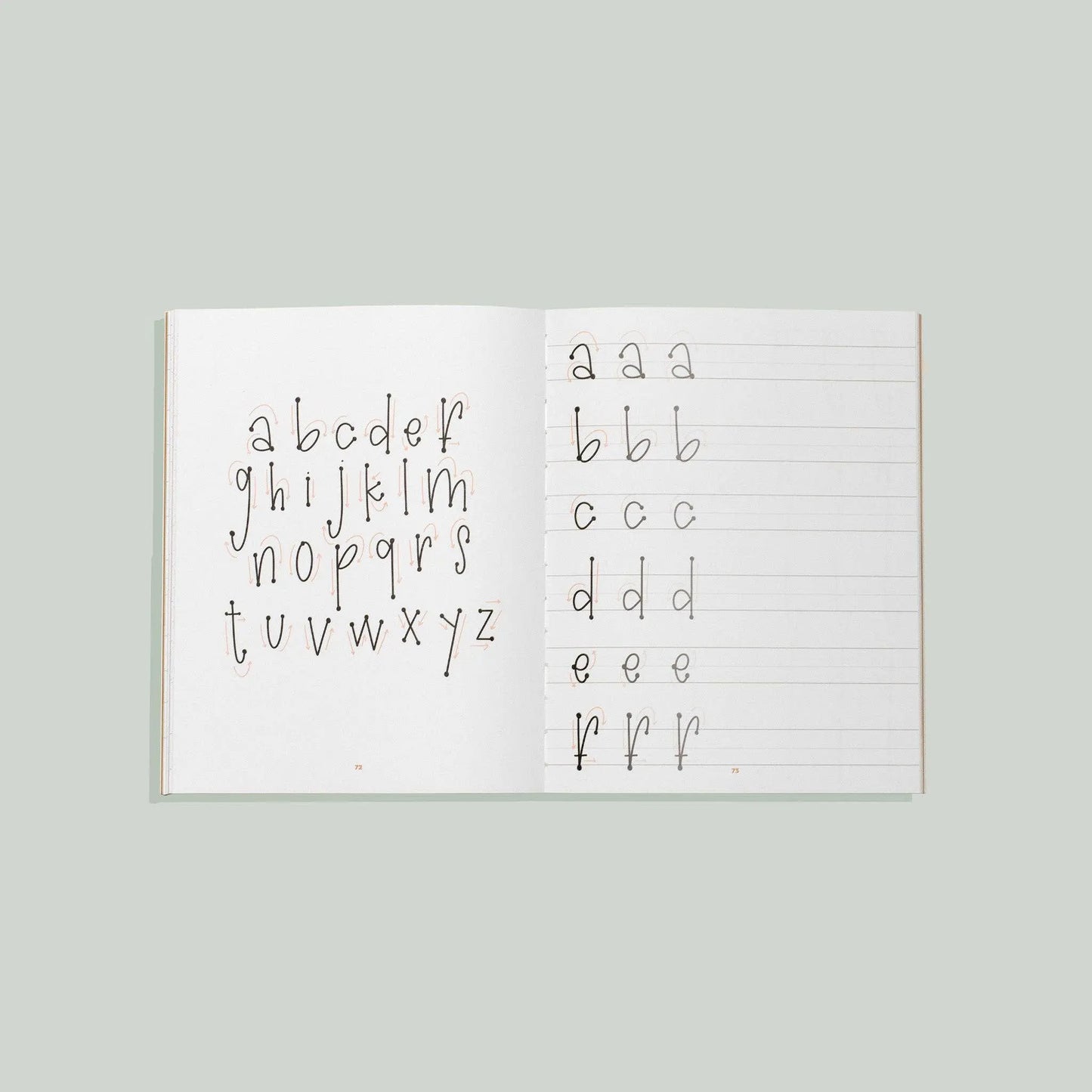 Learn to Letter with Luna the Llama Paige Tate & Co.