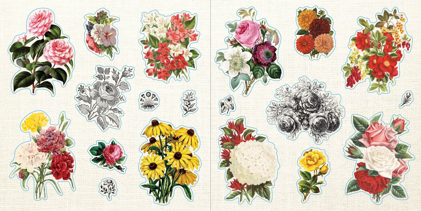 Loads of Ephemera Sticker Book (580 stickers) Peter Pauper Press