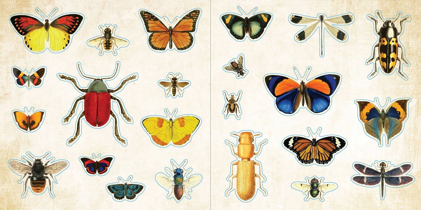 Loads of Ephemera Sticker Book (580 stickers) Peter Pauper Press