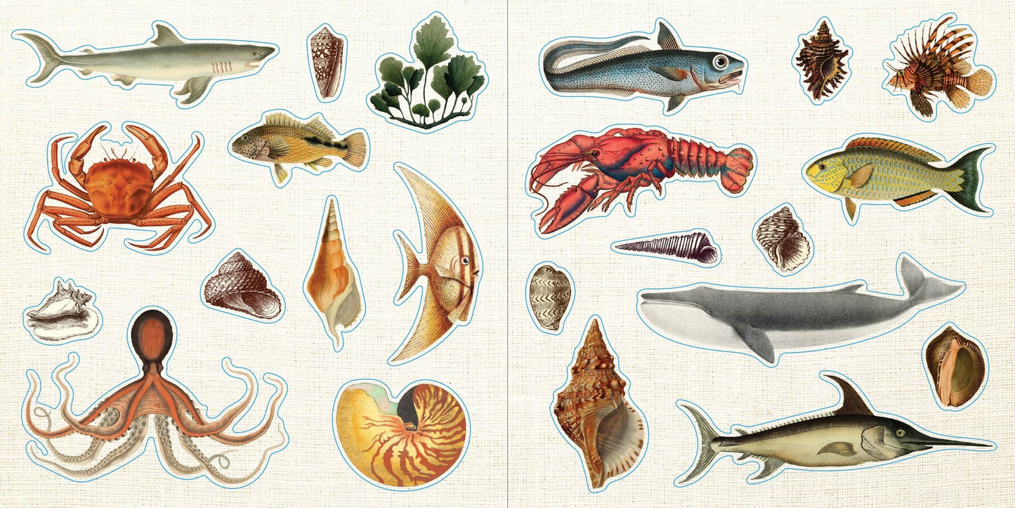 Loads of Ephemera Sticker Book (580 stickers) Peter Pauper Press