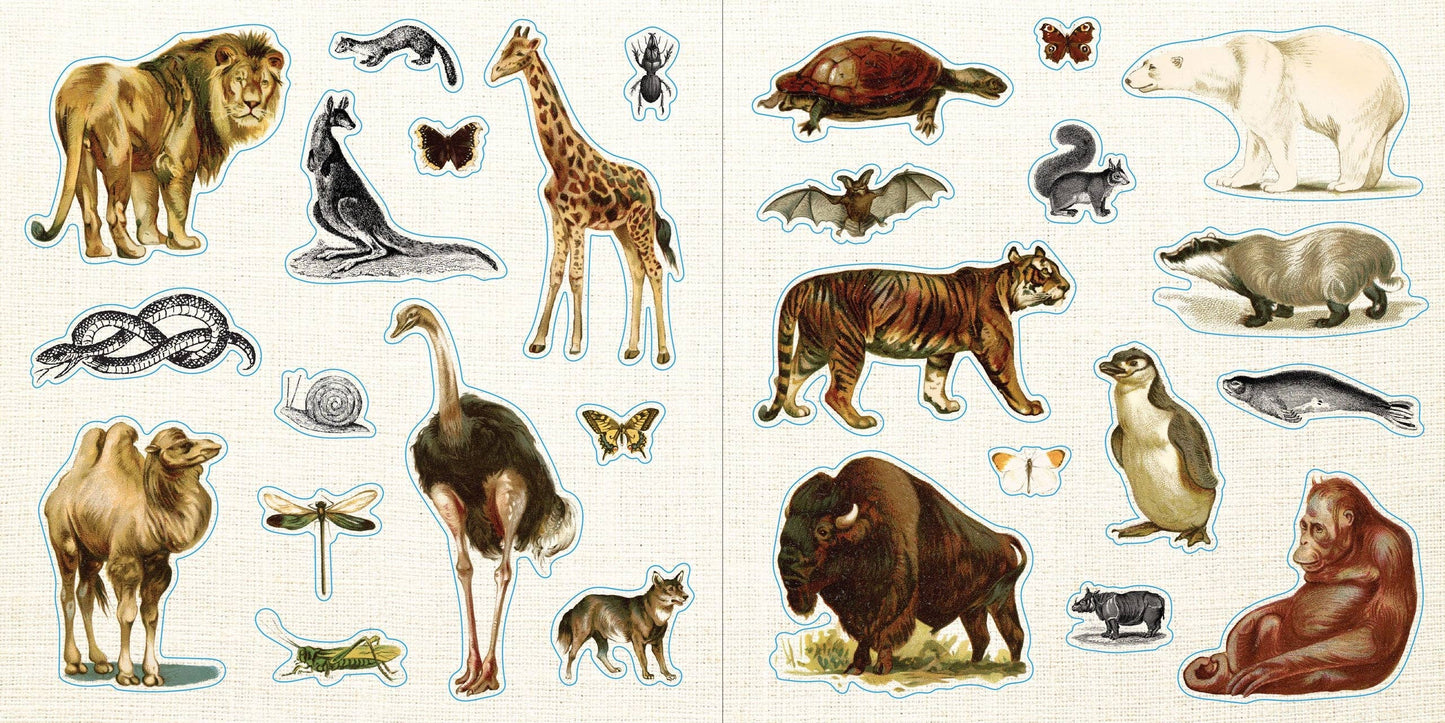 Loads of Ephemera Sticker Book (580 stickers) Peter Pauper Press