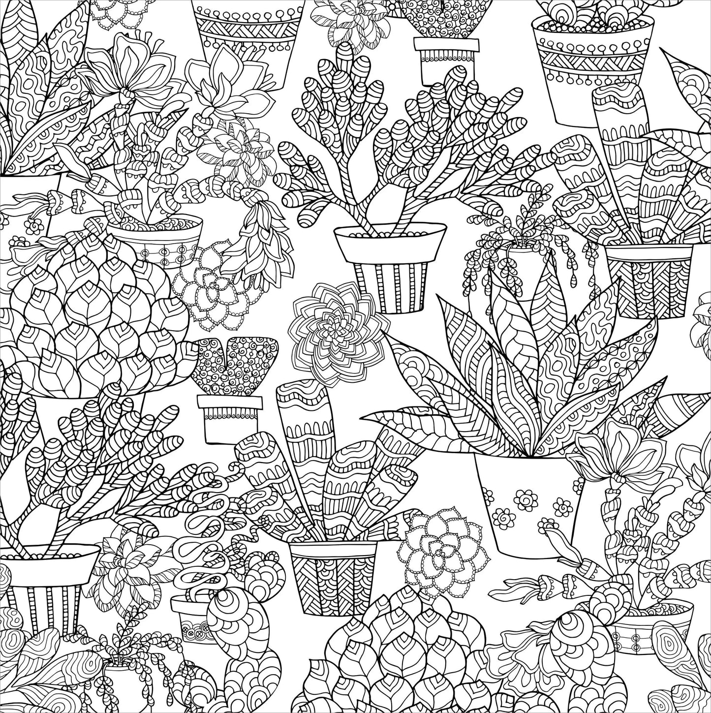 Succulents Adult Coloring Book Peter Pauper Press