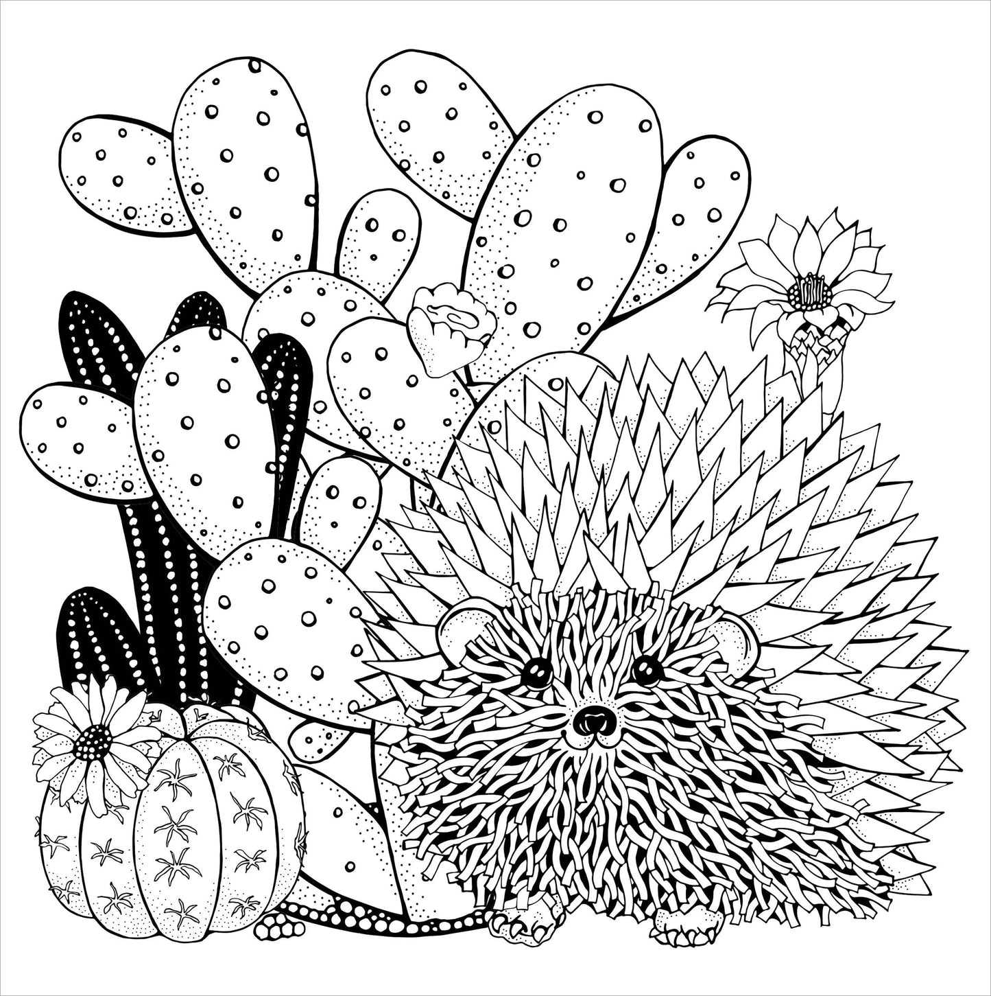 Succulents Adult Coloring Book Peter Pauper Press