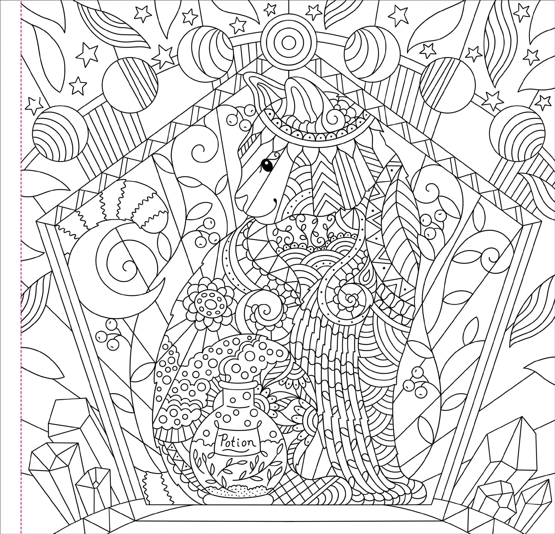 Witchcraft & Wonder Coloring Book Peter Pauper Press