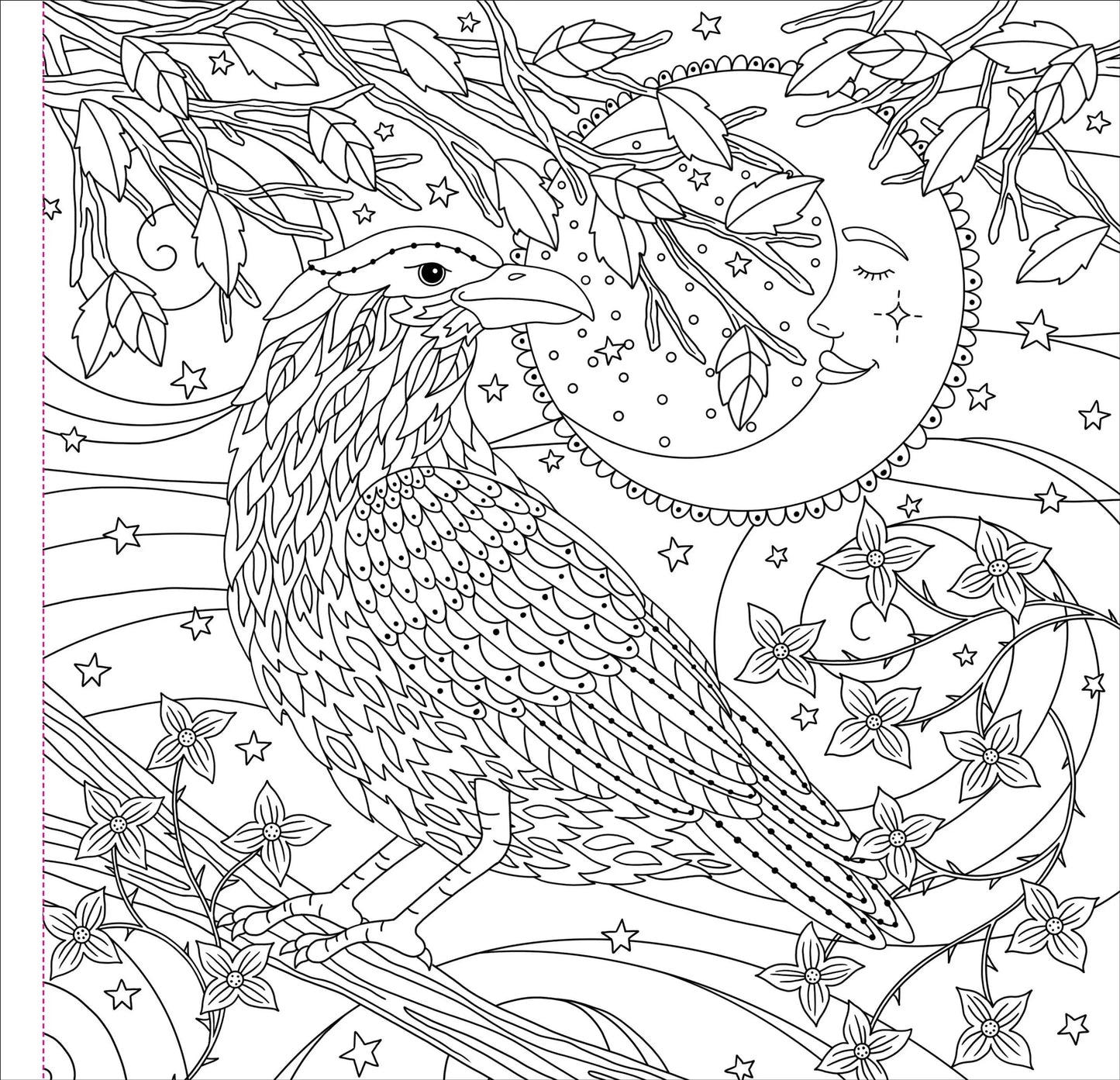 Witchcraft & Wonder Coloring Book Peter Pauper Press