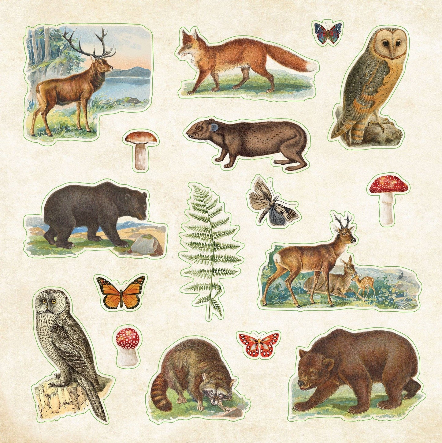 Zoological Ephemera Sticker Books
