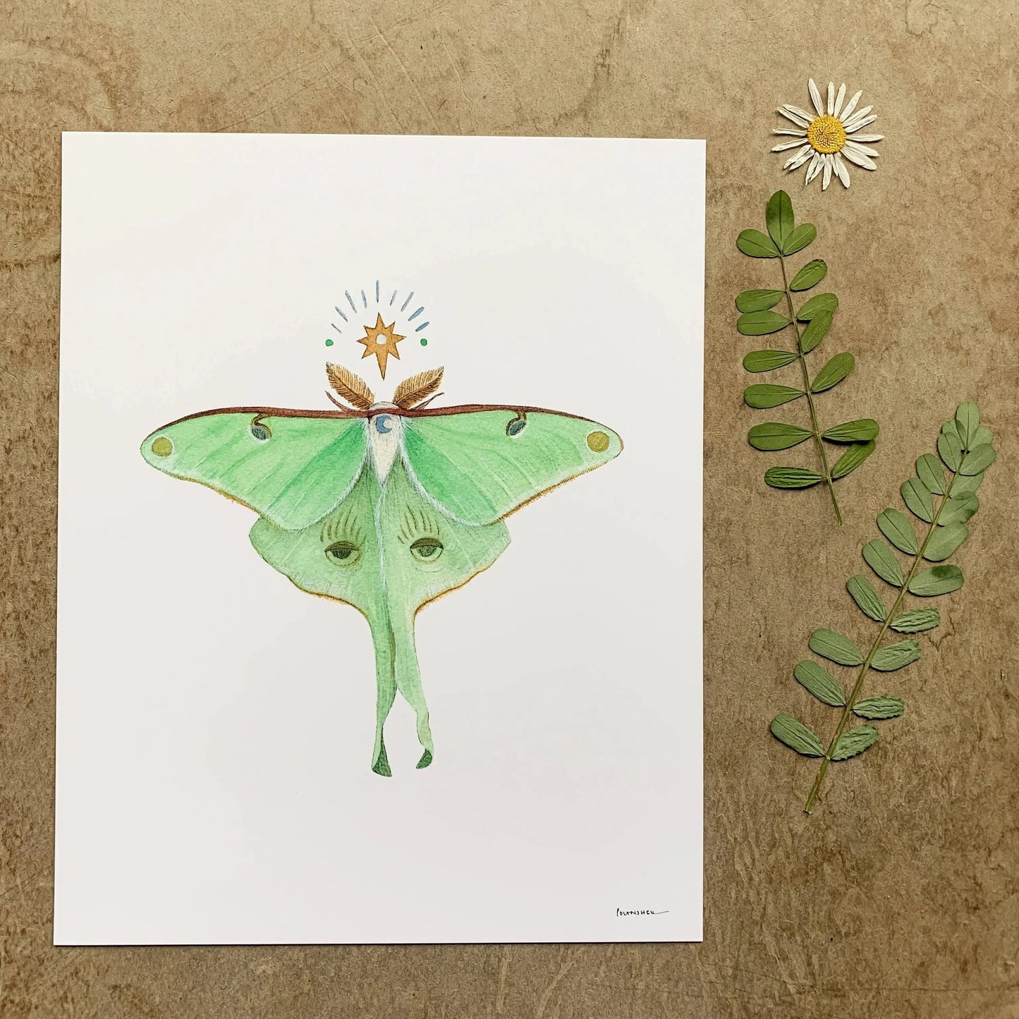 5"x7" Print - Astral Luna Moth