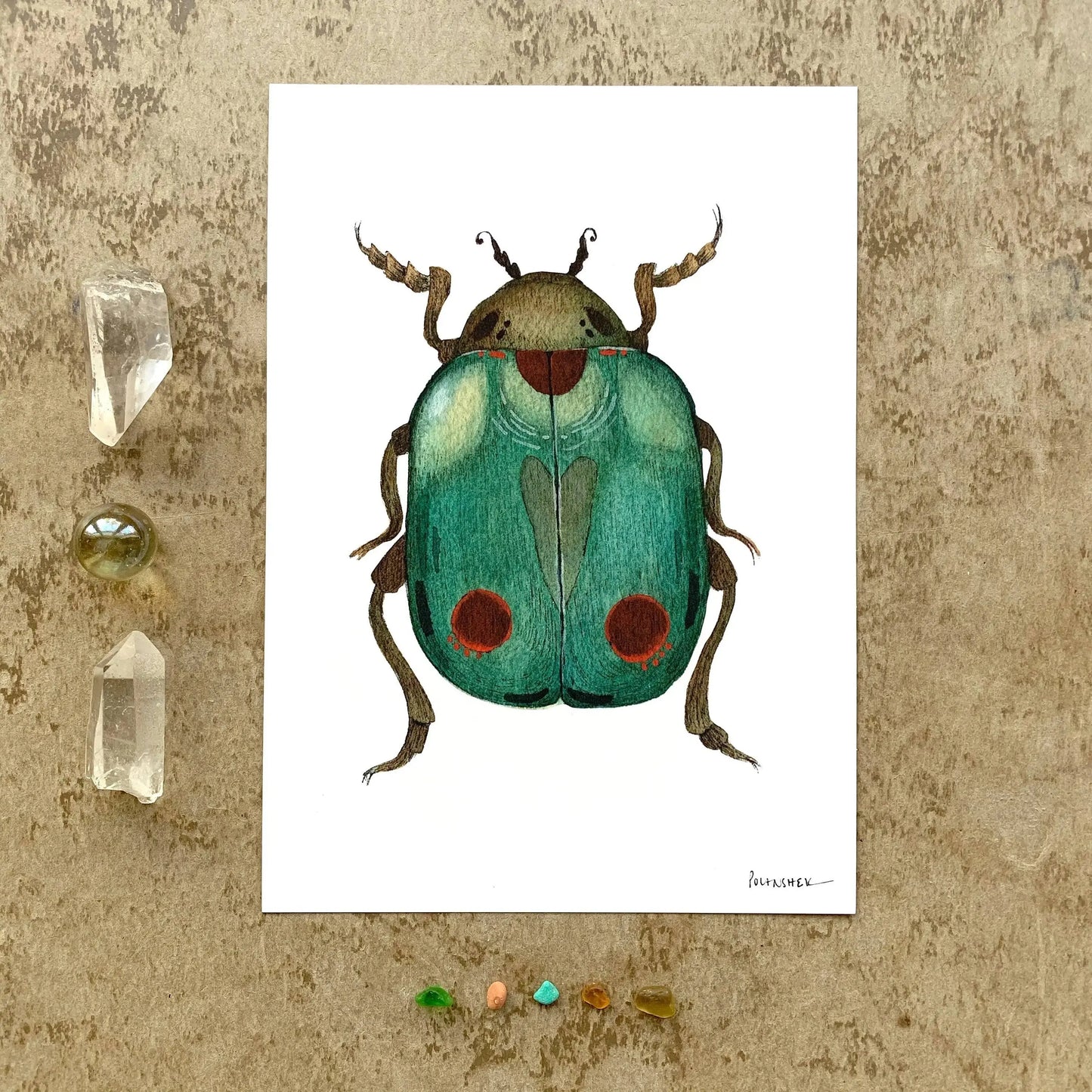 5"x7" Print - Bug Collection - Beetle