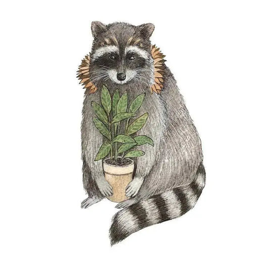5"x7" Print - Critters and Plants: The Raccoon