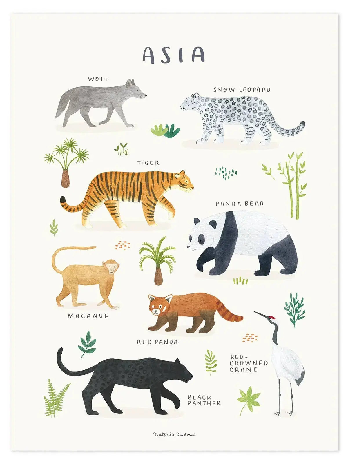 Art print (30 x 40 cm) - animals from asia