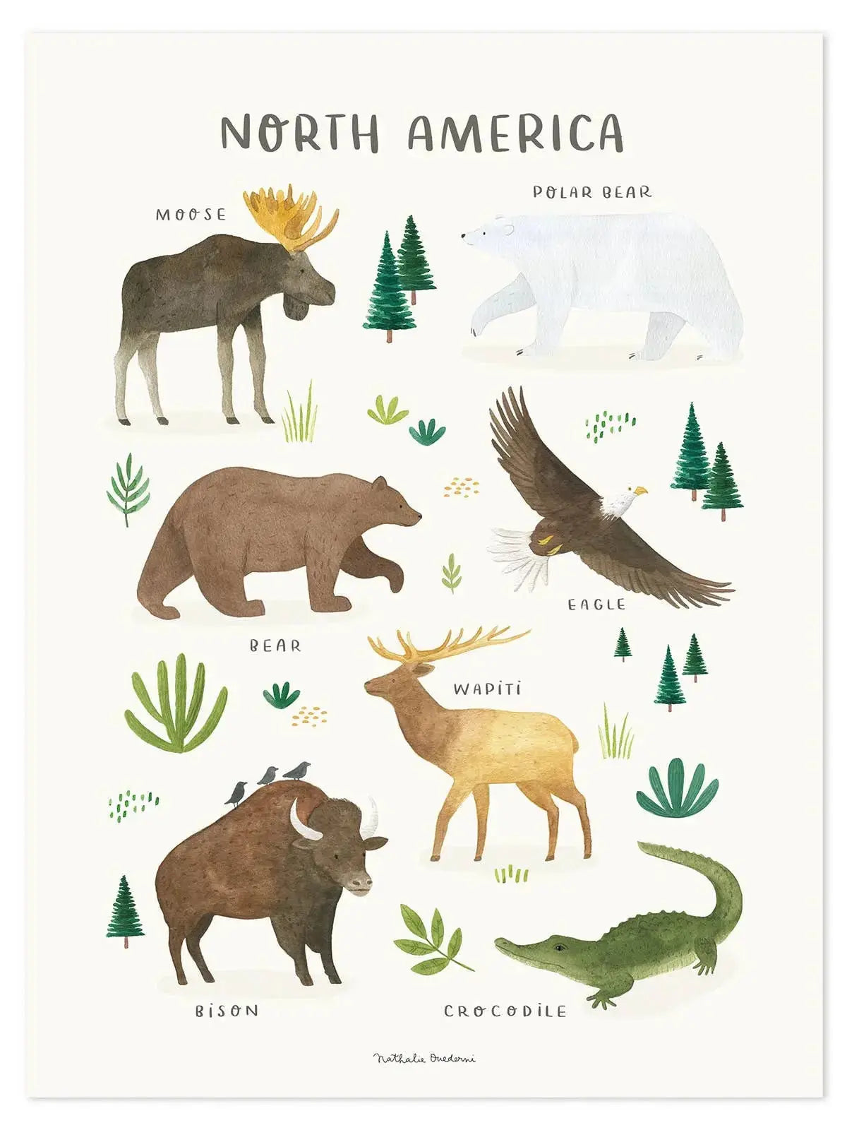 Art print (30 x 40 cm) - animals from north america