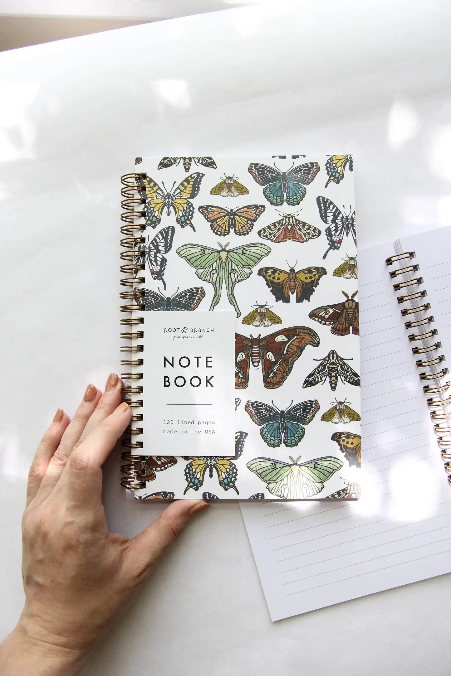 Butterfly + Moth Spiral Bound Notebook