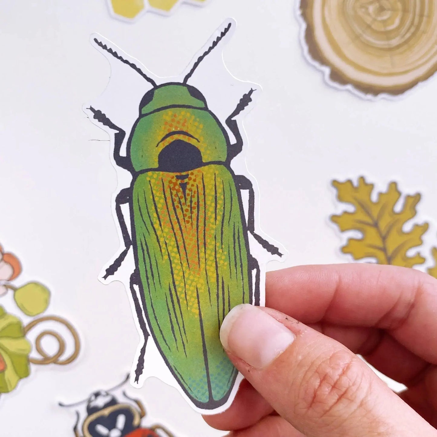 Jewel Beetle Bug Sticker