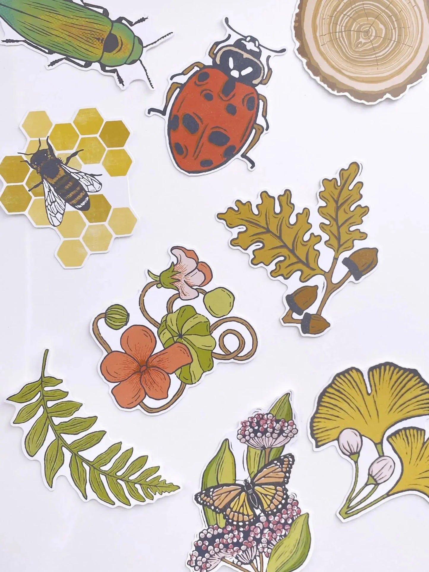 Jewel Beetle Bug Sticker