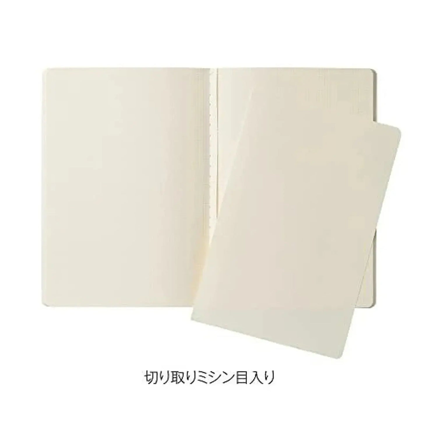 Kleid B6 TINY GRID Notes OK Fools Paper Notebook (Cream)