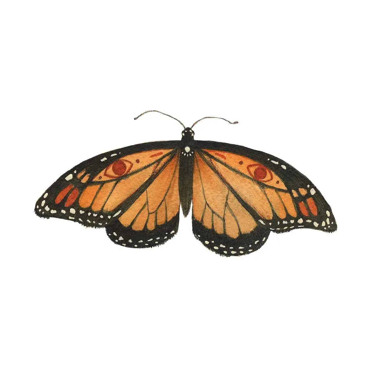 Monarch Butterfly Sticker