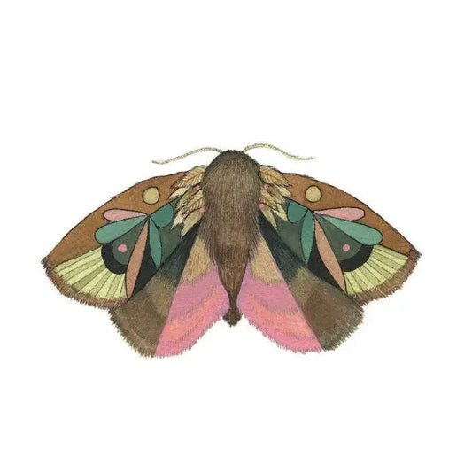 Moth 4 Print - Collector