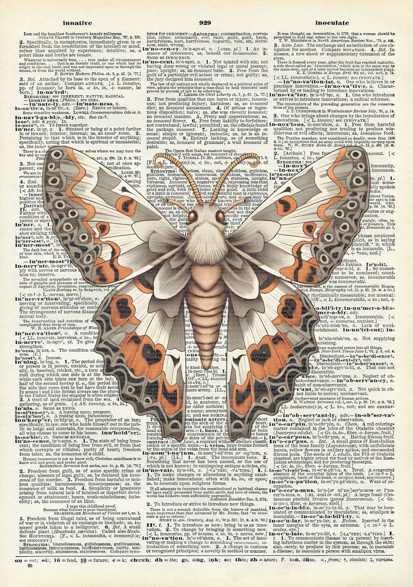 Moth Print Vintage Dictionary Prints - 8.5" x 11"