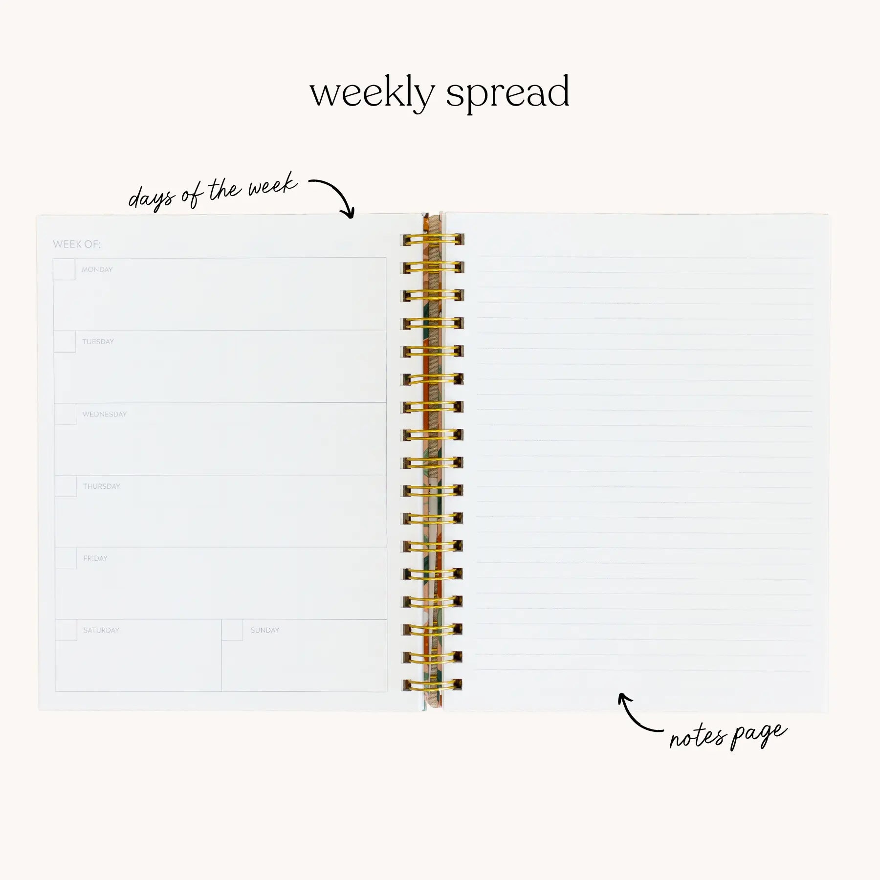 White Line Drawn Undated Planner Elyse Breanne Design