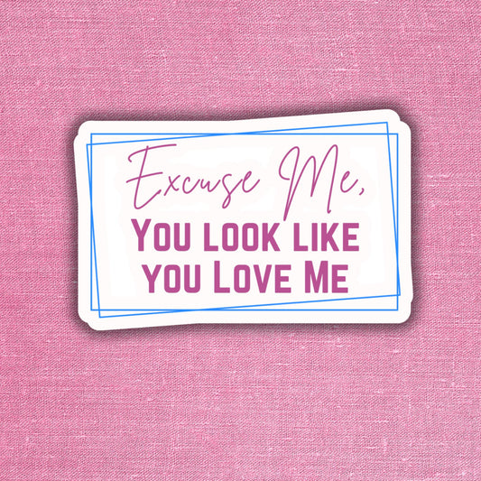 Excuse me, You look like you love me - Sticker