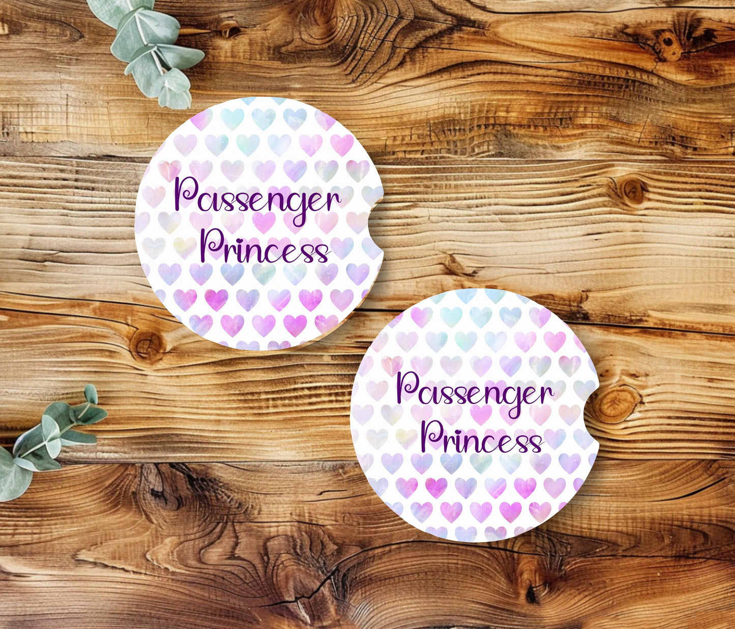 Passenger Princess - Car Coaster